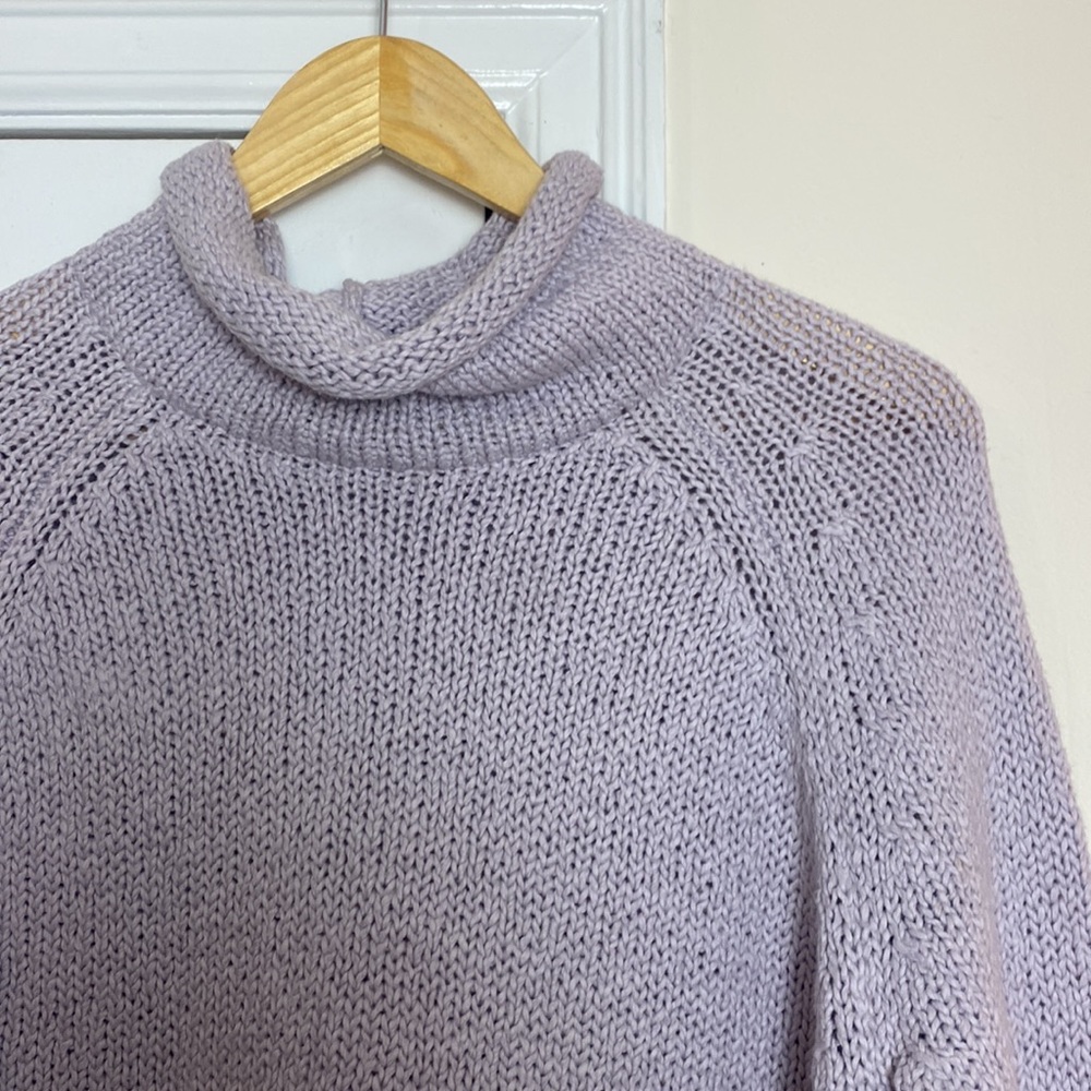 Eileen Fisher Raglan Turtleneck Pullover - Picture 7 of 11